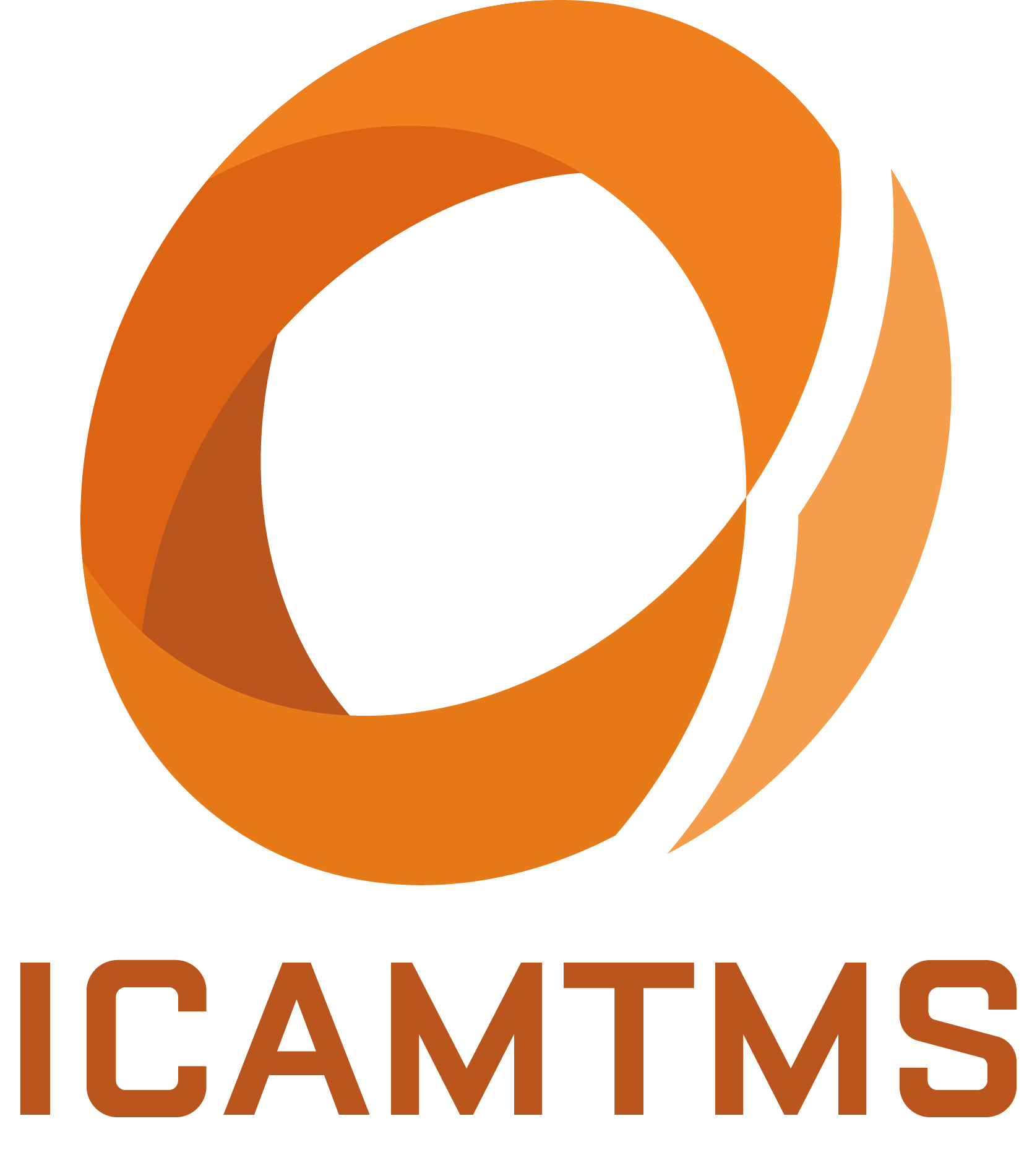 ICAMTMS logo.png